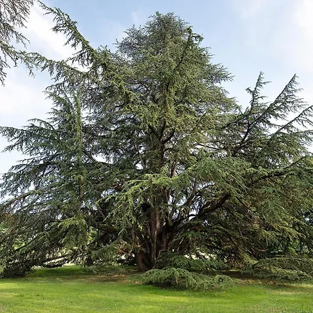 Cascine Di Schella Ovada